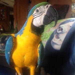 Meet your Posher, Kimberly